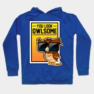 You look OWLsome Hoodie